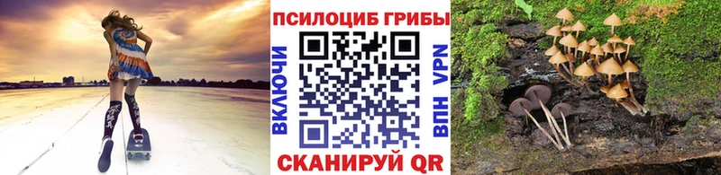 купить   Бердск  Псилоцибиновые грибы MAGIC MUSHROOMS 